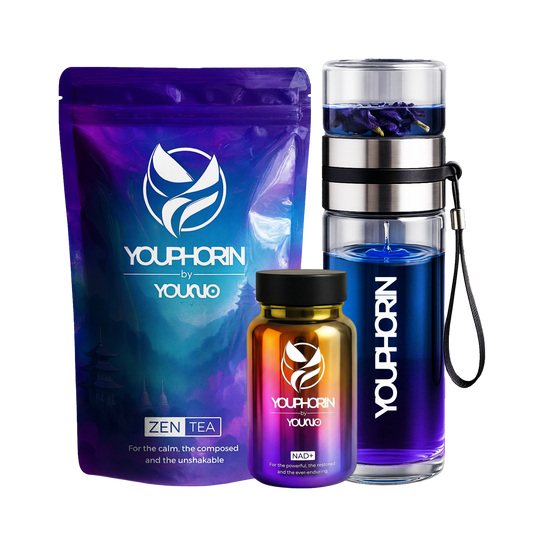 MOMENTUM BUNDLE